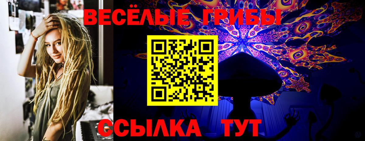 Галлюциногенные грибы MAGIC MUSHROOMS Коммунар