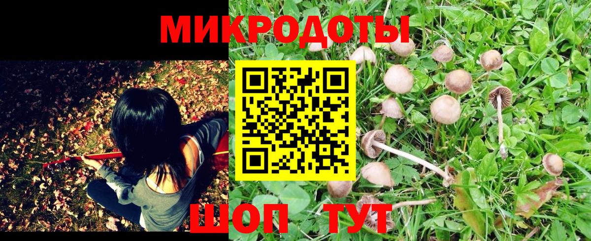 Коммунар  Псилоцибиновые грибы Psilocybine cubensis  Вход с VPN 